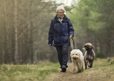 Woman walking two dogs